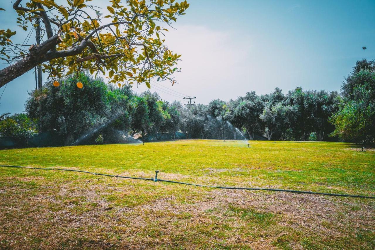 Chrysland Διαμέρισμα Αγία Νάπα Εξωτερικό φωτογραφία